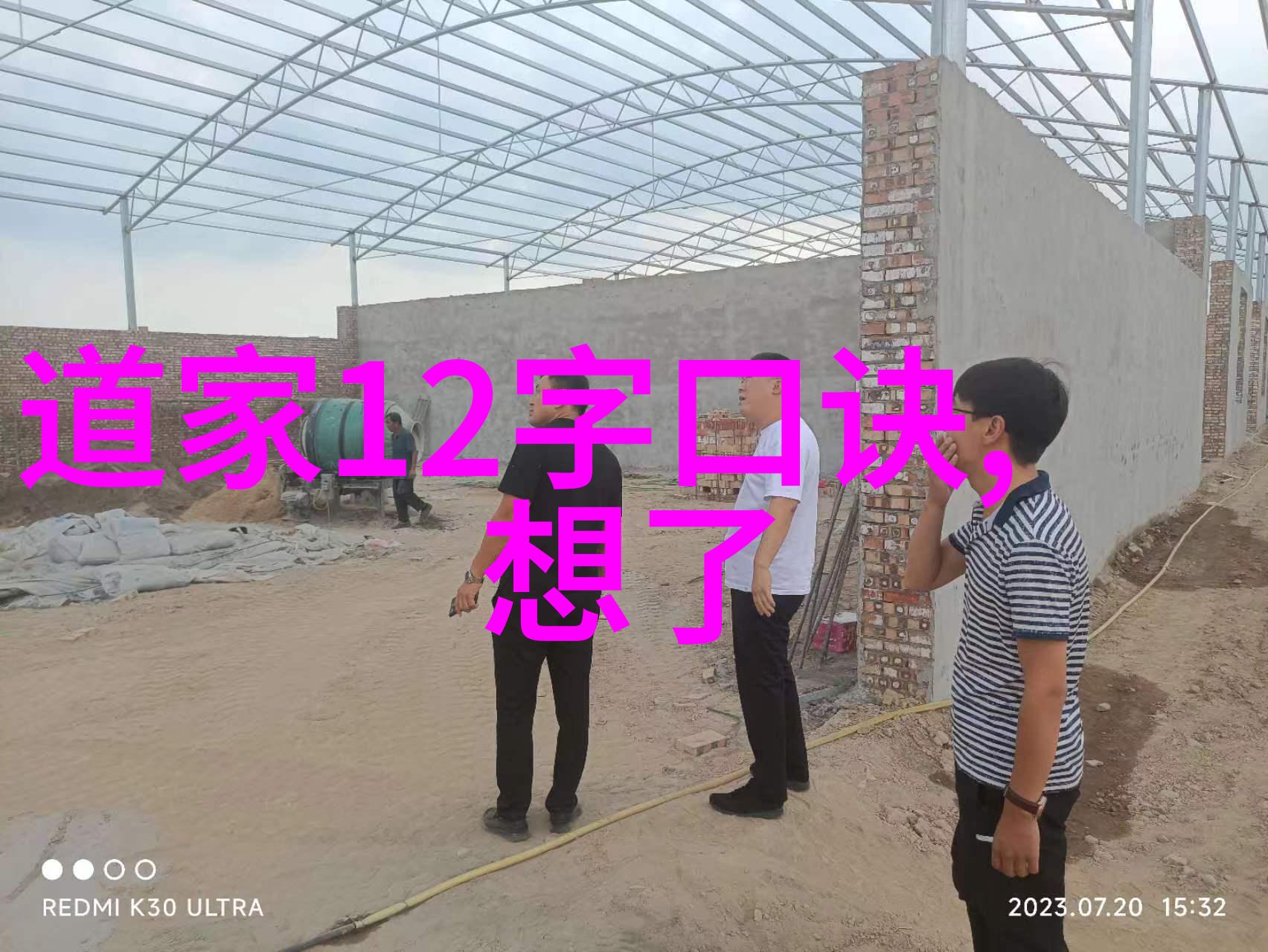 与儒释佛并存道家思想在中国传统文化中的地位和作用