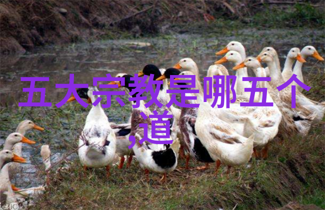 心灵纯净的言语探索很走心的干净短句的艺术