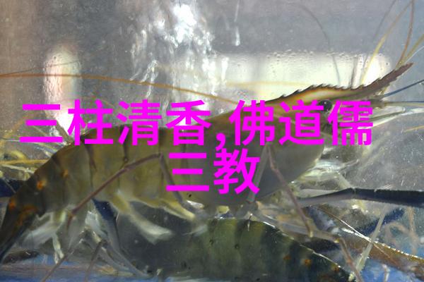 从无为而治到无为而不为探索提倡的哲学与实践