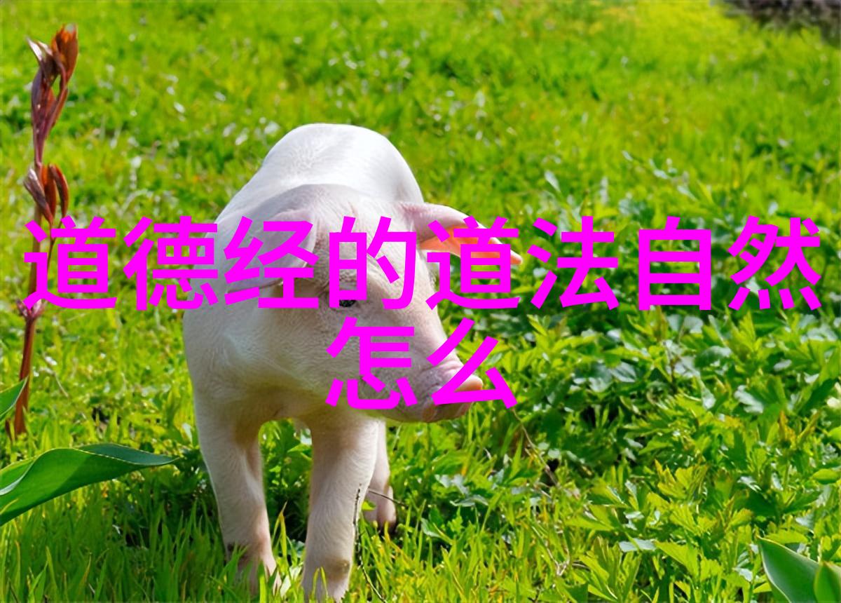 道家思想的创始人是老子的反派
