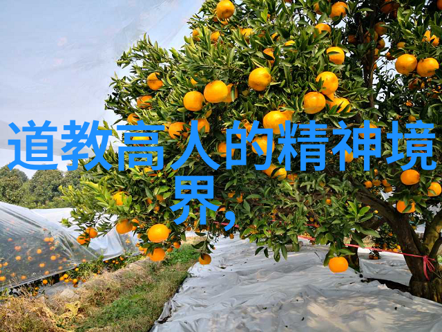 何新旧论论中国传统宗教及学术之演变