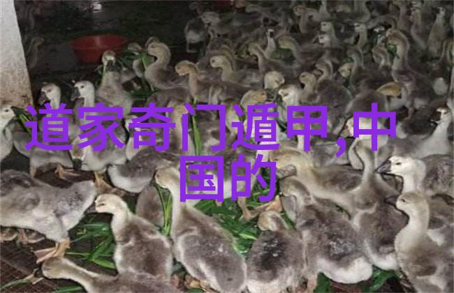 道德經的生命力在于它的哲學核心还是文學魅力