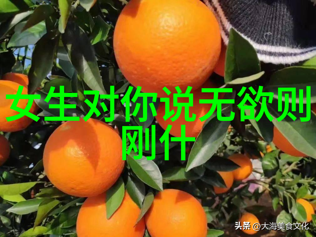 慈悲之巅心海涌动的无尽泉源