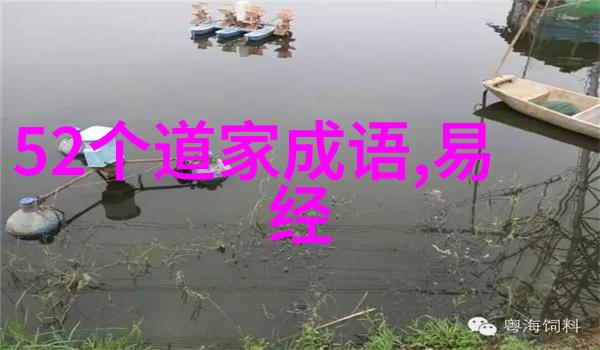 道术之巅天师的神秘境界