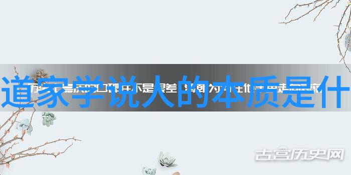 从镜子里看我怎么C你小说阅读镜中自嘲的读者如何在文字海洋中找到自己的航向