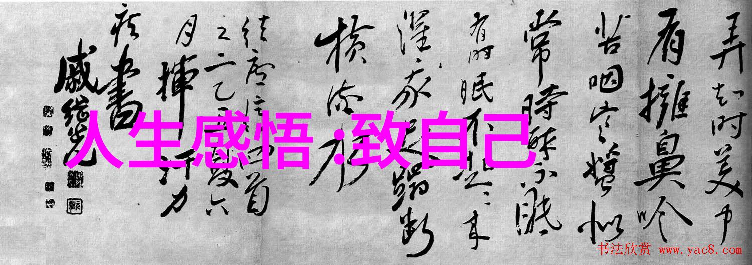 以无为治天下如何运用老子道德经的无为原则应对现代社会压力