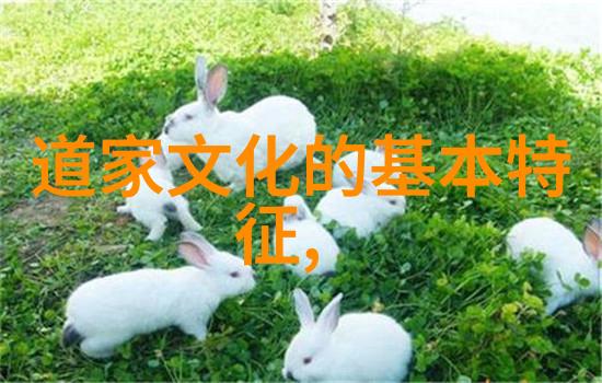 宋代道家代表人物张三丰的神秘面纱