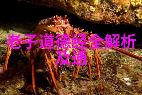 兰亭集序墨香中寻古韵楷影间揭秘