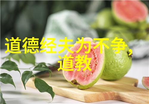 天师背后的故事一位真正的道家高手