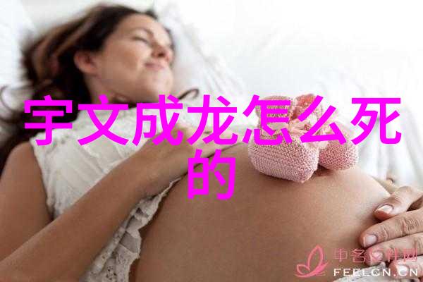 “宇文成龙咋死的”，[宇文成龙之死揭秘]