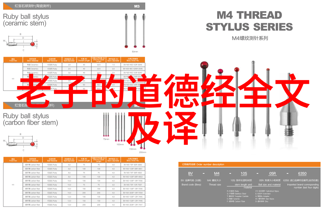 道家传承人物探索古今哲人的智慧与韵味