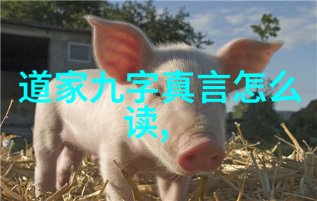 探索道德经八十一章智慧生命哲学的深度解读