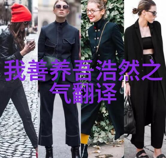 庄子全文和翻译-探索古代哲学智慧的宝库庄子思想的深度解读