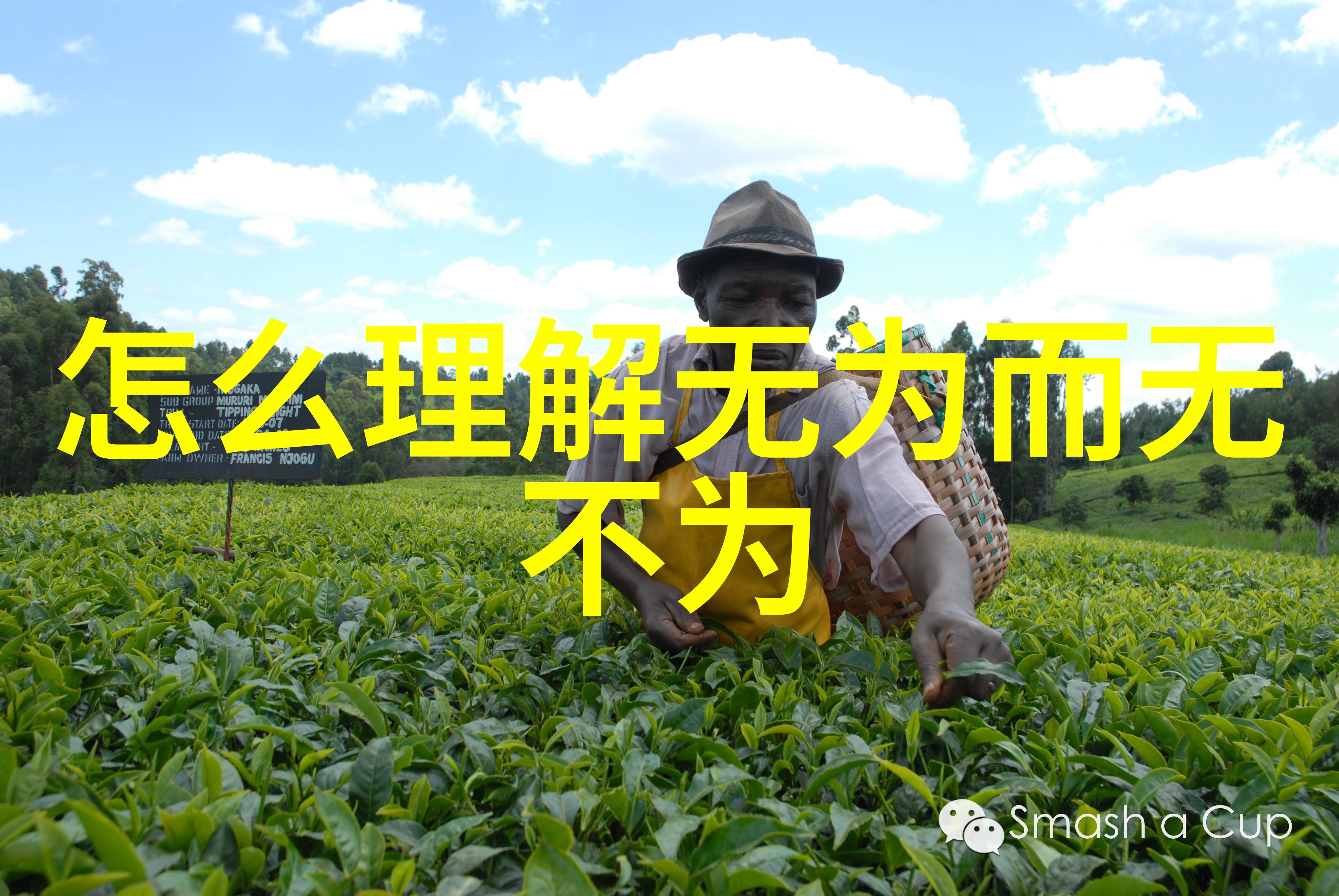 五雷诀正确口诀古老武术秘籍中的精髓