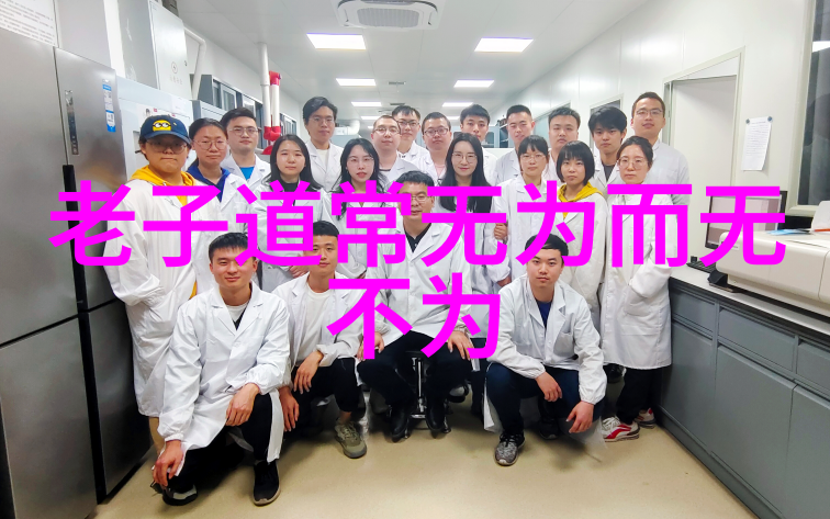 道家学派的代表人物是谁-道教之魂探索老子和庄子的哲学遗产
