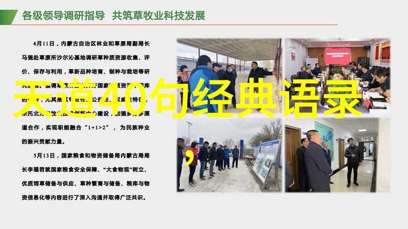 清凉寺背后的文化与历史