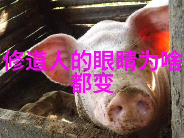 为什么要做些什么探索无为的智慧