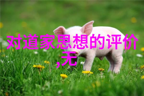 国产麻婆豆腐传媒舌尖上的中国美食