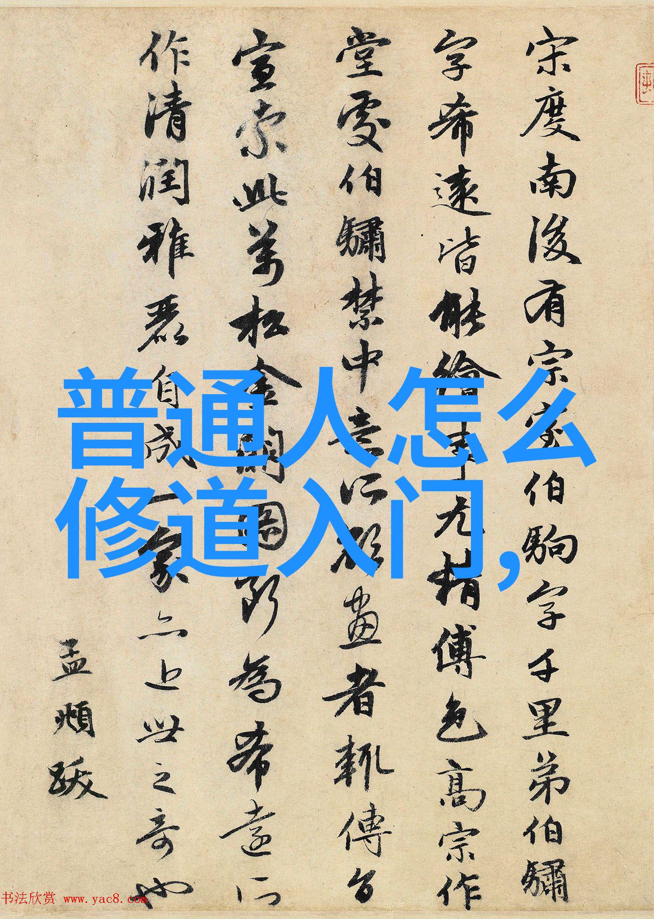 乐可金银花露广播剧探索古风奇幻世界的魅力与深度