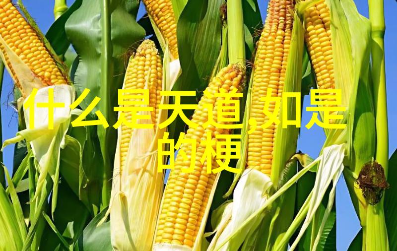 历史上的道教名人我的智慧之旅