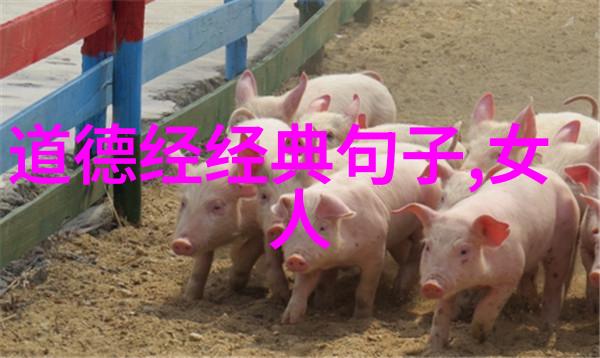 慈悲的最高境界是什么亲爱的修行者们你们是否曾经深思过这个问题今天我们就一起探讨一下这一个令人沉思的问
