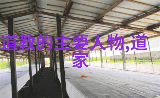 无愿而生强大而立理解和运用无欲则刚原则