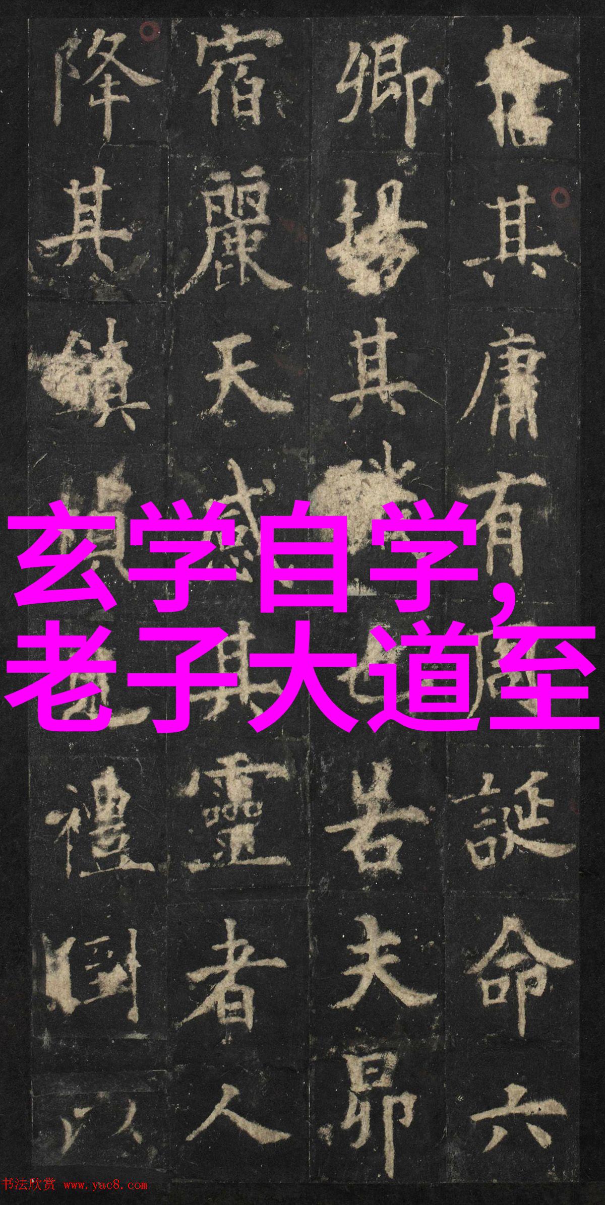 实干为先-不畏艰难砥砺前行探索实干为先精神的现代意义