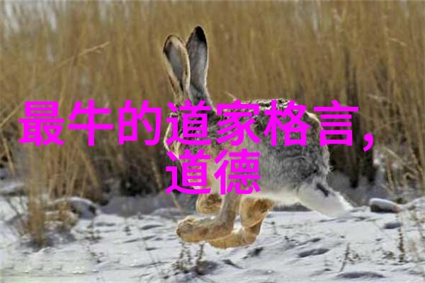 清静宗的修炼法门能否让人长生不老
