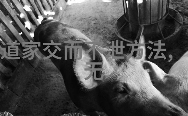 从六十四卦到人生哲学易经学习的心得体会