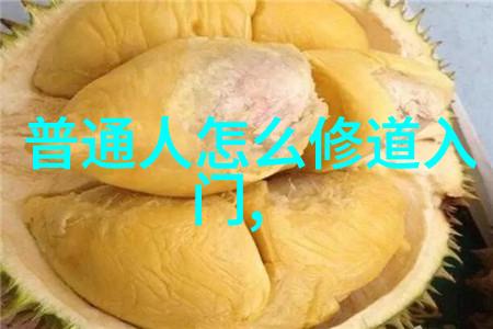 道德经精解揭秘老子智慧的源泉  1至81章深度解析