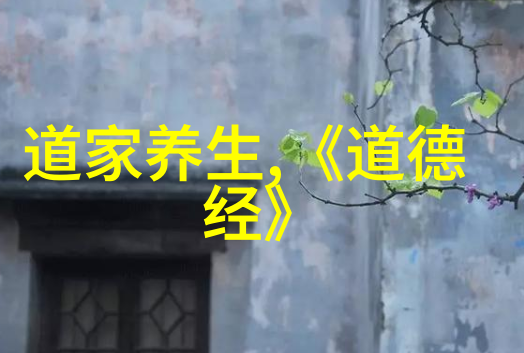 无为才能无所不为深度解读无为哲学的智慧与力量