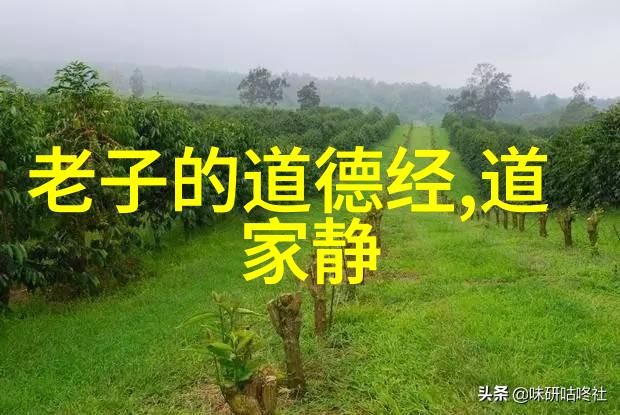 道家救人语录慈悲为怀自然而然的救赎之道