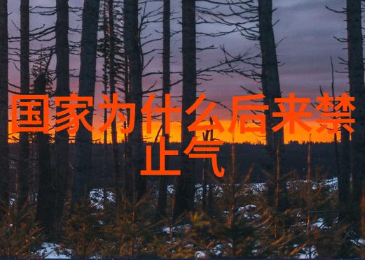 哲理探索-无欲则刚剖析心性之坚韧与内在力量