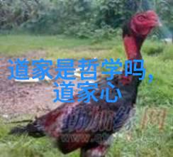 感情里的无欲则刚是什么意思我心中的那道理无欲则刚的真谛
