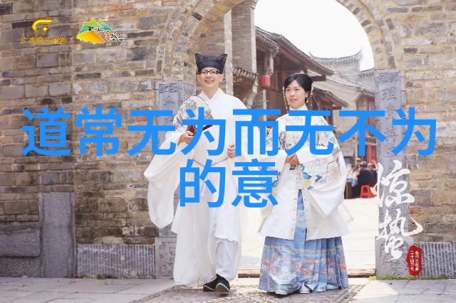 在面对复杂问题时无为又该如何操作才能达到最优解