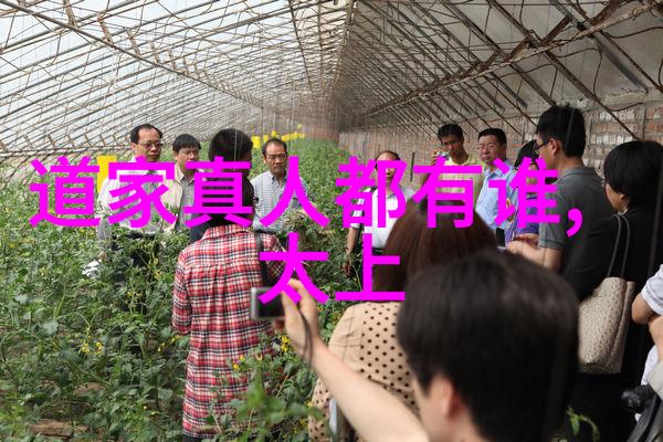 中国书法界新星第一代当代书法大师的成就与影响