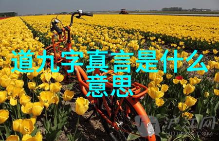 宋词大全300首精选我与宋代的对话300首精选中的情感共鸣