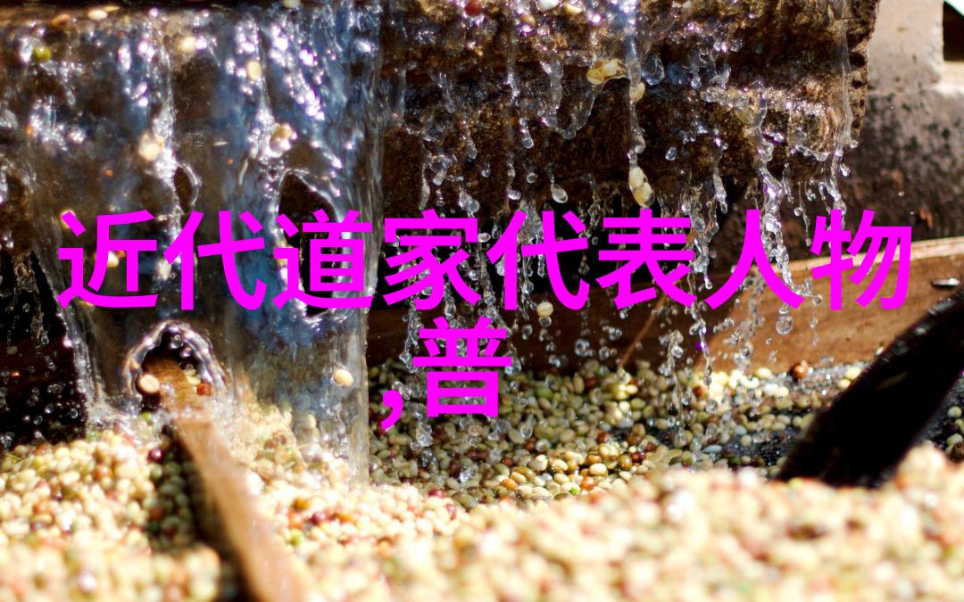 探索人生之道多多益善与无欲则刚的智慧对话