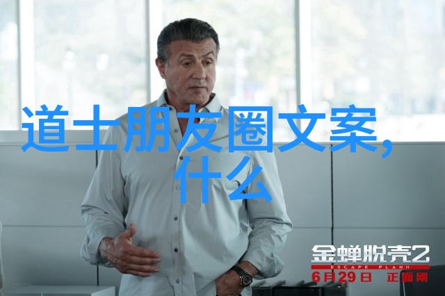深度解析modern poetry系列探讨冰心作品中的人文关怀