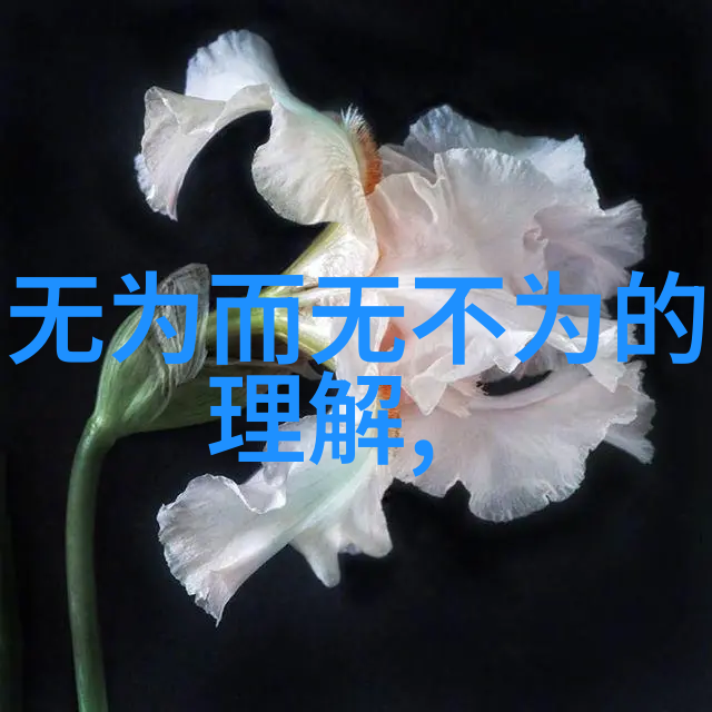 唐代诗人的情感世界唐诗宋词300首精选名句中的情感表达