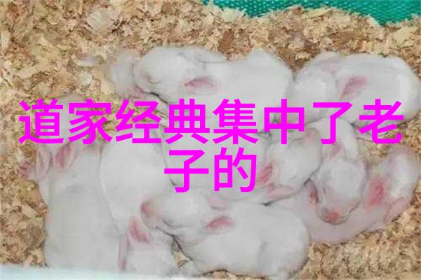 张道陵如何塑造天师道的历史地位
