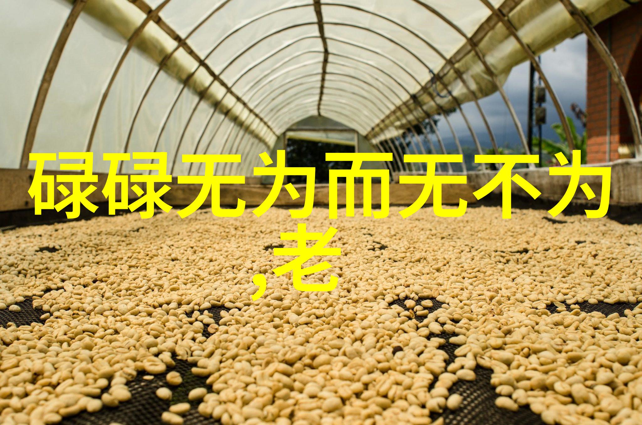 陆九渊融合儒道佛思想的尝试及其成就评估
