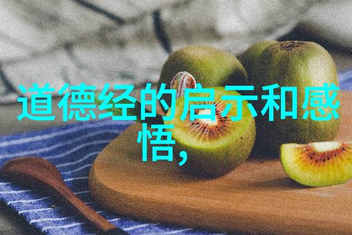 生于有死于无道德经对生命的见解