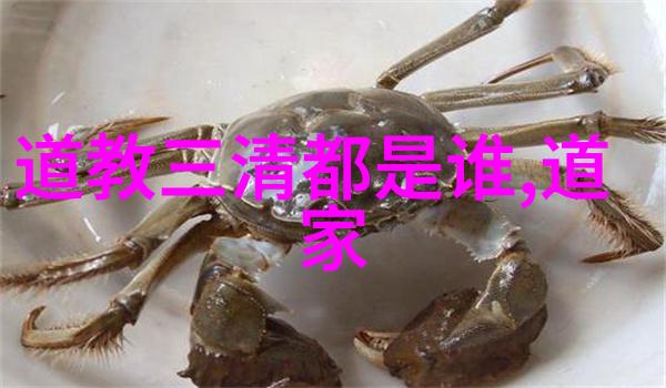 强制标记BY池染也一场对艺术自由的深刻探索