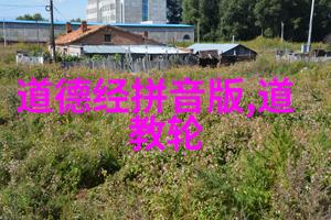 从道德經的視角看待自然法則及其對人間社會影響