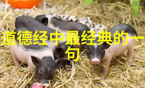 阴阳和谐易经中对女性性格的深刻洞察