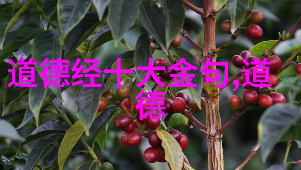 悟透天道理解宇宙律则