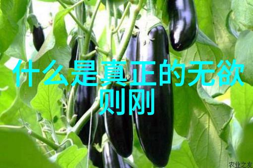 道家故事中的智慧之谜古代哲人如何悟道