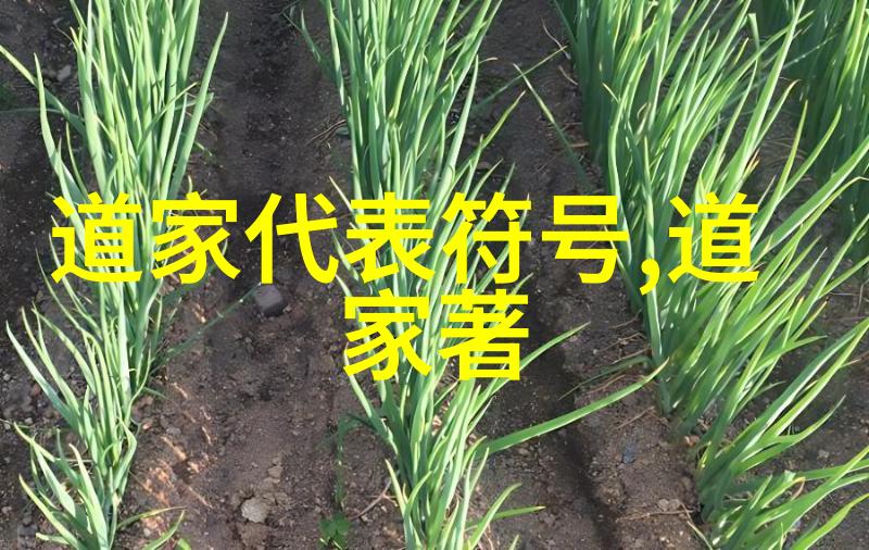 易经对女人的性格暗示卦中风情揭秘易经如何预言女性性格