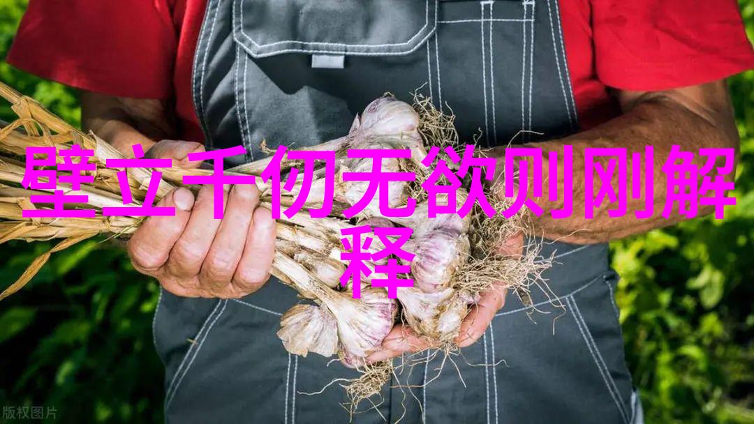 簪星穿梭银河的织女